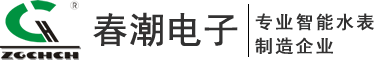 樂(lè)清市春潮電子儀表有限公司